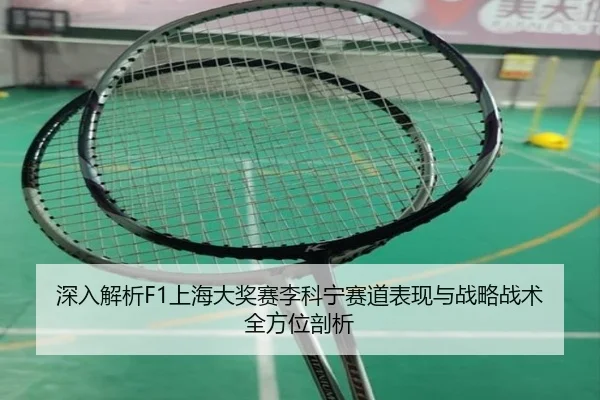 深入解析F1上海大奖赛李科宁赛道表现与战略战术全方位剖析